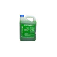 I05/005 - Środek do czyszcz.zabrudzeń ropopochodnych TENZI SUPER GREEN SPECJAL NF /konc.5l/