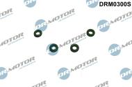 DRM0300S - Oring króćca przew.przelewowego DR.MOTOR /zestaw-4 szt./ FORD/PSA FOCUS 1.6DURATEC 10-
