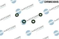 DRM0300S - Oring króćca przew.przelewowego DR.MOTOR /zestaw-4 szt./ FORD/PSA FOCUS 1.6DURATEC 10-