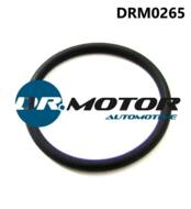 DRM0265 - Oring DR.MOTOR /kolektora wydechowego do zaworu EGR/ FORD FOCUS 2.0 TDCI DW8/C-MAX/GALAXY/KUGA 10 -