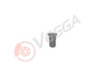 VE35422SR - Śruba ustalająca VEGGA (do tarczy hamulca ) M10x1/25 L=17mm OPEL/FIAT 500 14-