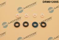 DRM01209S - Zestaw instalacyjny wtryskiwacza DR.MOTOR /kpl na silnik/ VAG 1.4-1.6FSI 03-