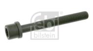 F06666 - Śruba głowicy FEBI VAG M11x1,5x96mm