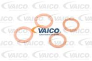 V10-2156 - Przewód chłodnicy oleju VAICO VAG A3/GOLF IV/BORA/OCTAVIA/LEON