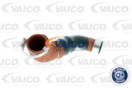 V10-2919 - Przewód intercoolera VAICO VAG A4 01-05