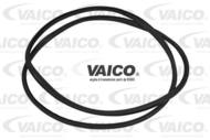 V10-3043 - Uszczelka szyby czołowej VAICO POLO