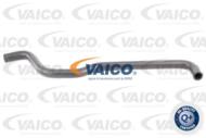 V10-4651 - Przewód chłodnicy VAICO /oleju/ VAG T4