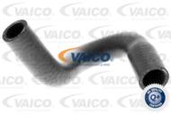 V10-4658 - Przewód chłodnicy VAICO VAG GOLF III