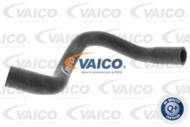 V10-4659 - Przewód chłodnicy VAICO VAG A3