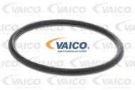 V10-50052 - Pompa wody VAICO VAG -06 (odp.VKPC 81627) żeliwny wirnik