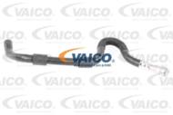 V20-1719 - Przewód chłodnicy oleju VAICO BMW 520-530 i (E60/E61)