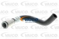 V20-1720 - Przewód chłodnicy oleju VAICO 4.6 IS BMW (E53)/X5 4.4I