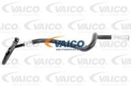 V20-1721 - Przewód chłodnicy oleju VAICO 4.6 IS BMW (E53)/X5 4.4I