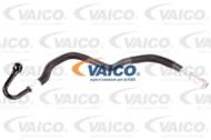 V20-1724 - Przewód chłodnicy oleju VAICO BMW X5 (E53)
