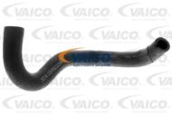 V20-2417 - Przewód chłodnicy oleju VAICO 