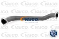 V25-1025 - Przewód ciśnieniowy intercoolera VAICO FORD TRANSIT