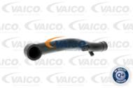 V30-0796 - Przewód odmy VAICO DB WC/S124/W463/W126/R107