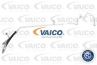 V30-1479 - Przewód chłodnicy oleju VAICO 