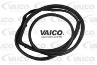 V30-1546 - Uszczelka szyby VAICO /tył L/ DB W202/S202