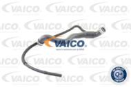 V30-2236 - Przewód chłodnicy VAICO DB V203