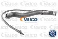 V30-3142 - Przewód chłodnicy VAICO DB C204