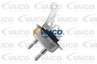 V42-0137 - Poduszka stabilizatora VAICO /tył L/ 306/XSARA/ZX