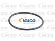 V46-50010 - Pompa wody VAICO RENAULT/NISSAN 2.0DCi 05-