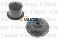 V49-9508 - Sworzeń wahacza VAICO /przód/ Austin METRO
