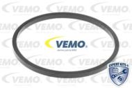 V24-99-0043 - Termostat VEMO 