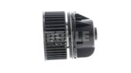 AB 244 000P MAH - Wentylator wnętrza MAHLE FORD FOCUS III