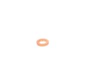 F 00V P01 008 - Pierścień uszczelniający BOSCH 