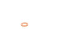 F 00V P01 008 - Pierścień uszczelniający BOSCH 