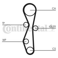 CT1091WP1 CON - Pasek rozrządu CONTITECH /z pompą wody/ 