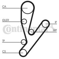 CT1148WP1 CON - Pasek rozrządu CONTITECH /z pompą wody/ 