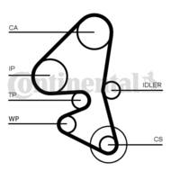 CT1162WP3 CON - Pasek rozrządu CONTITECH /z pompą wody/ 