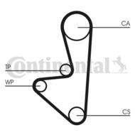 CT607WP1 CON - Pasek rozrządu CONTITECH /z pompą wody/ 