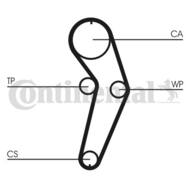 CT988WP3 CON - Pasek rozrządu CONTITECH /z pompą wody/ 