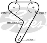 5304 G - Pasek rozrządu GATES FIAT TIPO (139)