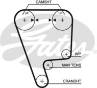 5349XS G - Pasek rozrządu GATES HONDA 2.3 16V (127)