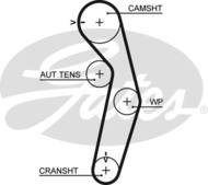 5441XS G - Pasek rozrządu GATES MITSUBISHI CARISMA (116)