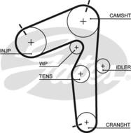 5462XS G - Pasek rozrządu GATES FIAT (193)