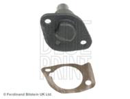 ADN173503C BLP - Zestaw rozrządu BLUEPRINT /kpl/ NISSAN ALMERA/PRIMERA/SUNNY 1.4-1.6 16V 90-00