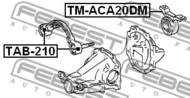 TM-ACA20DM - Mocowanie dyferencjału FEBEST /tył/ TOYOTA RAV4 00-05