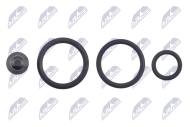 BWP-VW-013 - Uszczelka pompowtryskiwacza NTY /zestaw/ AUDI A3 2.0TDI 2003-/A4 2.0TDI 2004-/SKODA OCTAVIA II 2.0TD