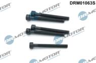 DRM01063S - Śruba mocowania wtryskiwacza DR.MOTOR /zestaw -5szt/ VAG
