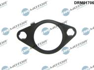 DRM01706 - Uszczelka zaworu EGR DR.MOTOR FORD