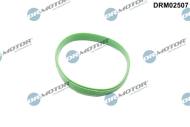 DRM02507 - Uszczelka kolektora dolotowego DR.MOTOR BMW
