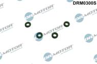 DRM0300S - Oring króćca przew.przelewowego DR.MOTOR /zestaw-4 szt./ FORD/PSA  FOCUS 1.6 DURATEC 10 -