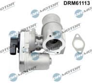 DRM61113 - Zawór EGR DR.MOTOR /z uszczelką/ FORD