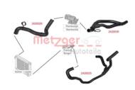 2420025 METZ - Przewód układu chłodzenia METZGER DACIA/RENAULT